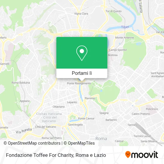 Mappa Fondazione Toffee For Charity