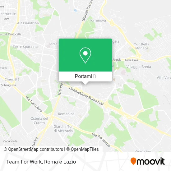 Mappa Team For Work