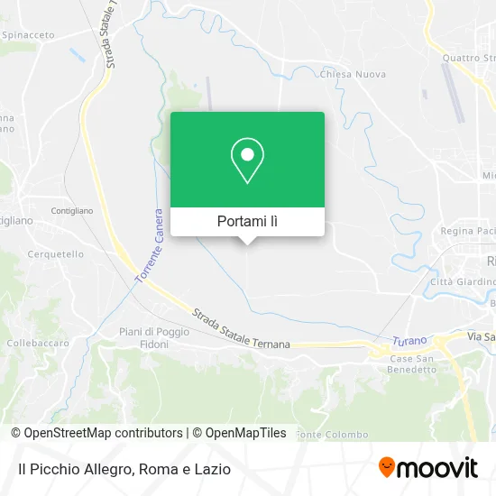 Mappa Il Picchio Allegro