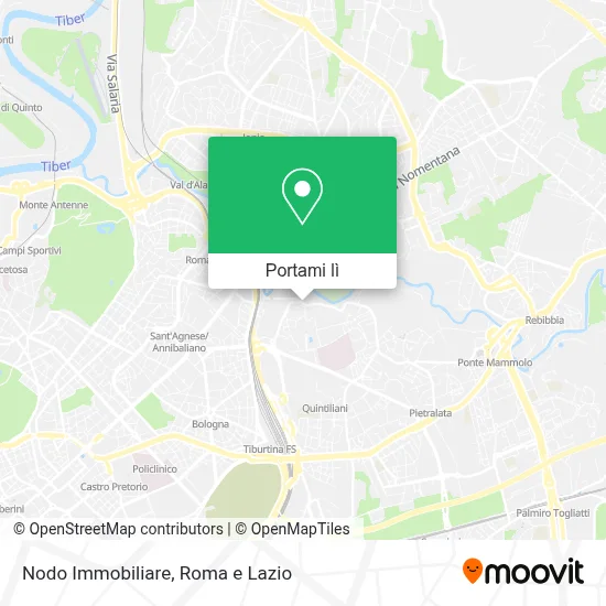 Mappa Nodo Immobiliare