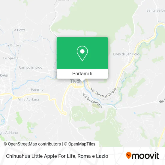 Mappa Chihuahua Little Apple For Life