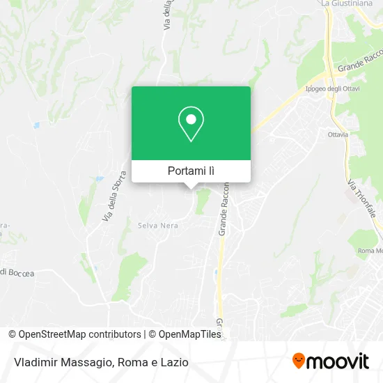 Mappa Vladimir Massagio