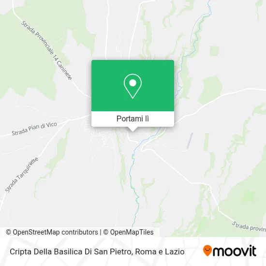 Mappa Cripta Della Basilica Di San Pietro