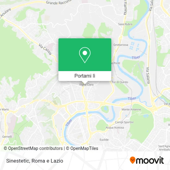 Mappa Sinestetic