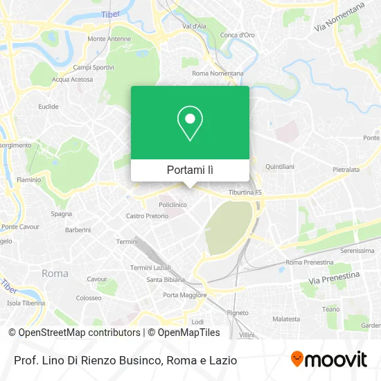 Mappa Prof. Lino Di Rienzo Businco