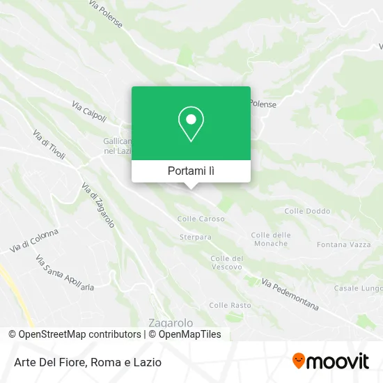 Mappa Arte Del Fiore