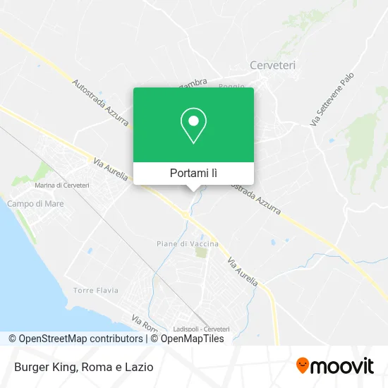 Mappa Burger King