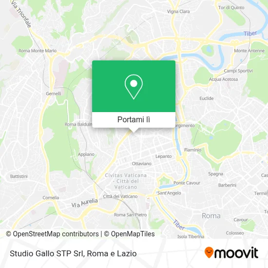 Mappa Studio Gallo STP Srl