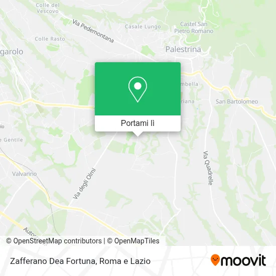 Mappa Zafferano Dea Fortuna