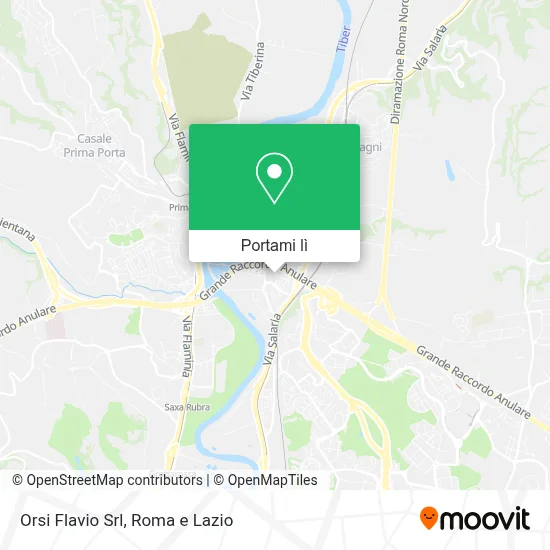 Mappa Orsi Flavio Srl