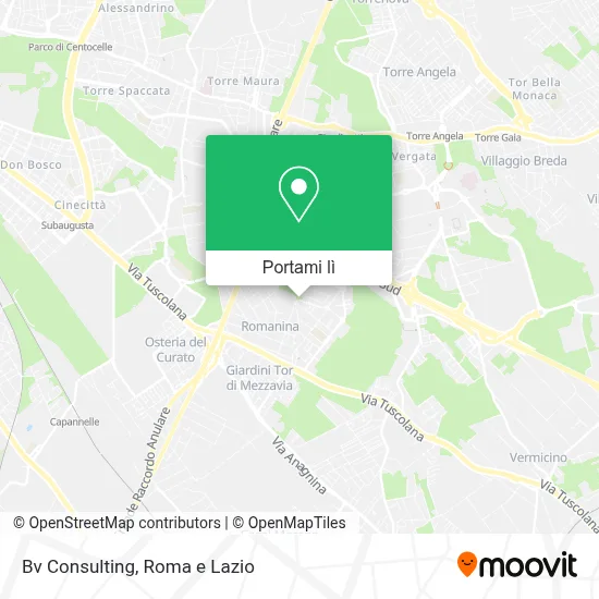 Mappa Bv Consulting