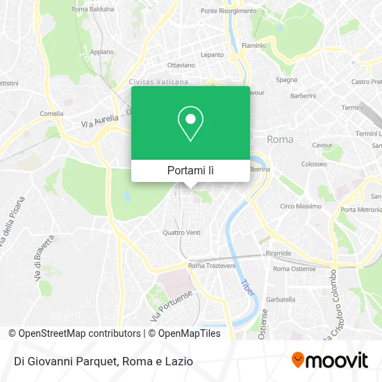Mappa Di Giovanni Parquet