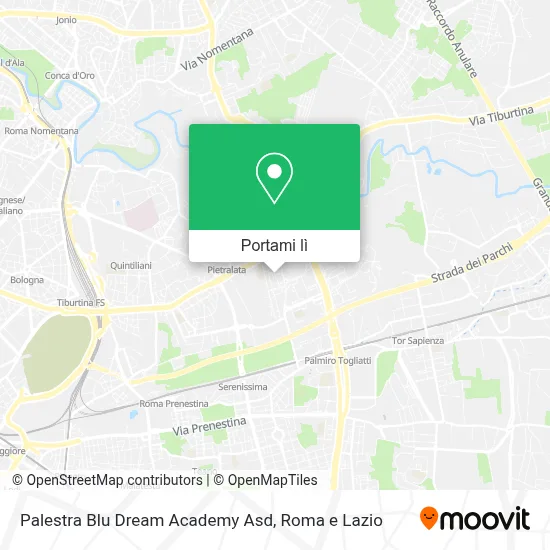 Mappa Palestra Blu Dream Academy Asd