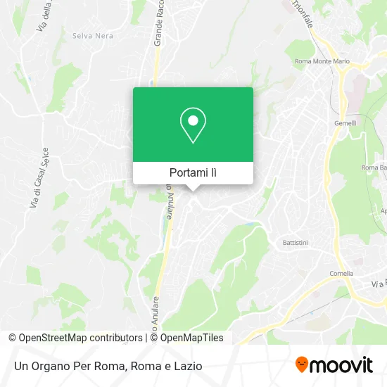 Mappa Un Organo Per Roma