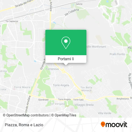 Mappa Piazza