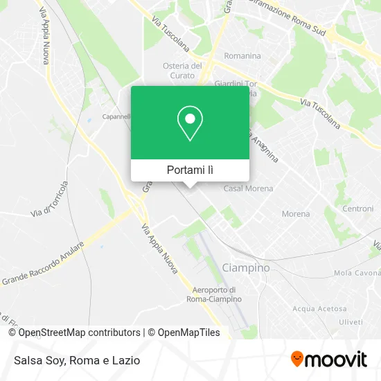 Mappa Salsa Soy