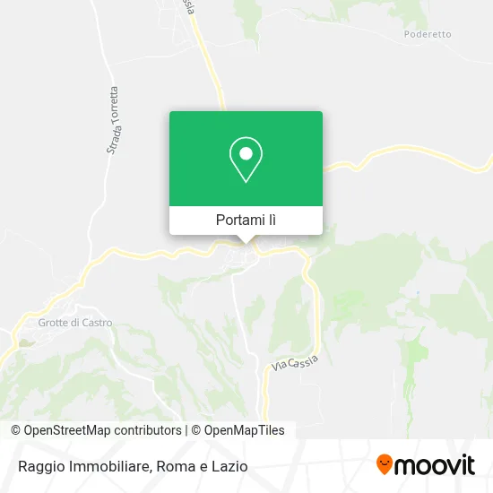 Mappa Raggio Immobiliare