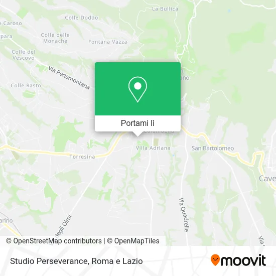 Mappa Studio Perseverance