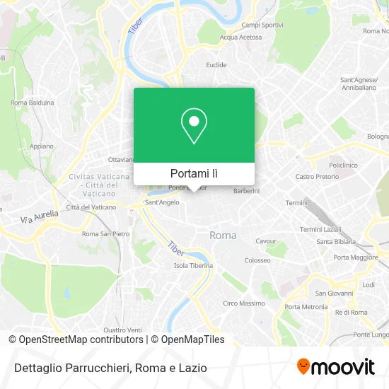 Mappa Dettaglio Parrucchieri