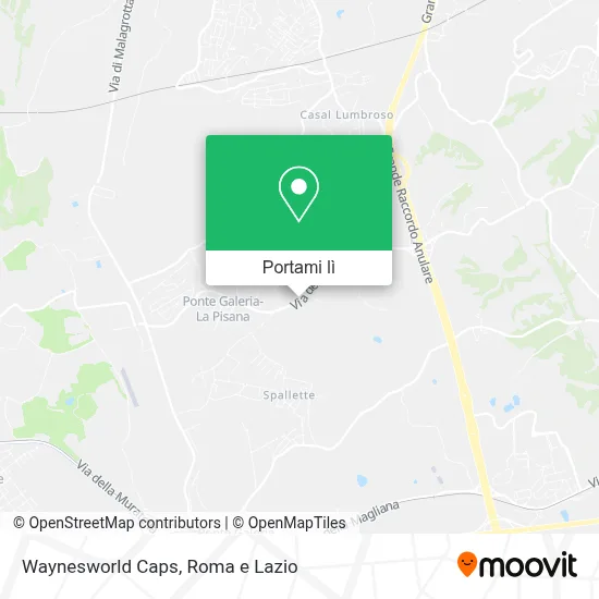 Mappa Waynesworld Caps