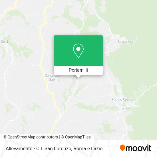 Mappa Allevamento - C.I. San Lorenzo