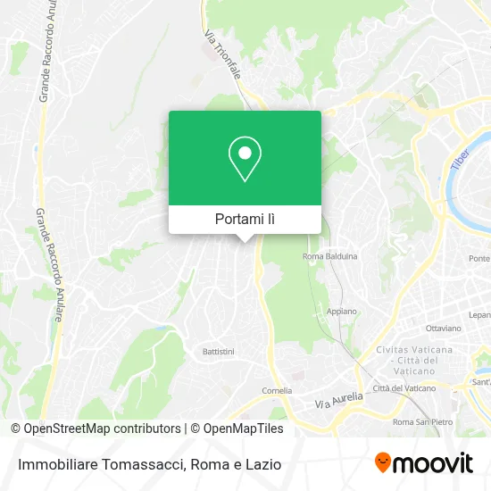 Mappa Immobiliare Tomassacci