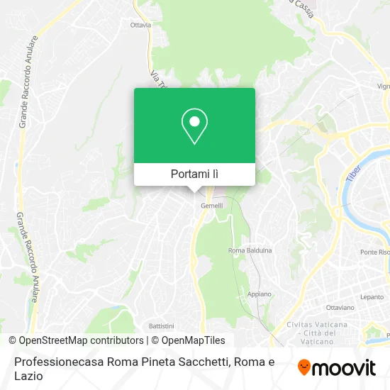 Mappa Professionecasa Roma Pineta Sacchetti