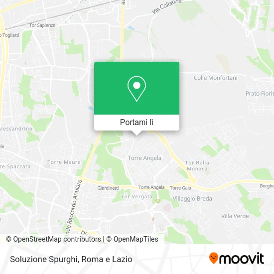 Mappa Soluzione Spurghi