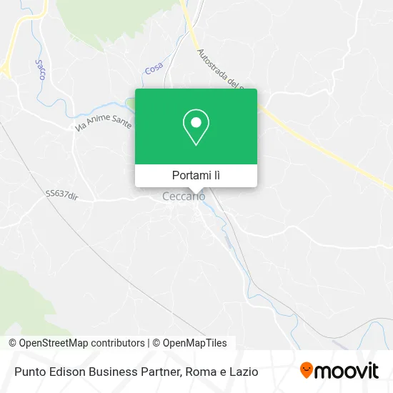 Mappa Punto Edison Business Partner