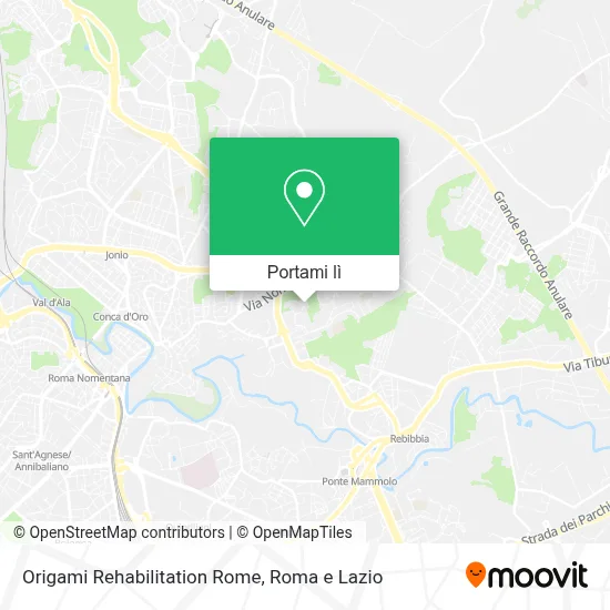 Mappa Origami Rehabilitation Rome