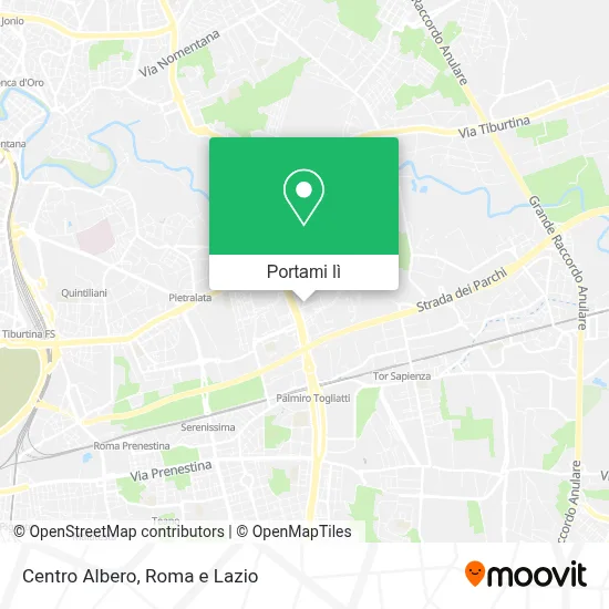Mappa Centro Albero