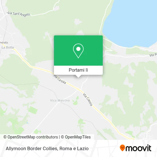 Mappa Allymoon Border Collies