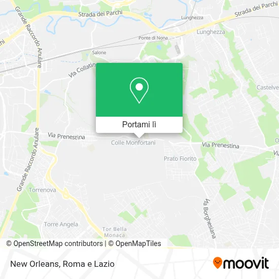 Mappa New Orleans