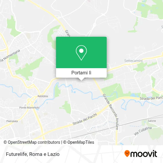 Mappa Futurelife