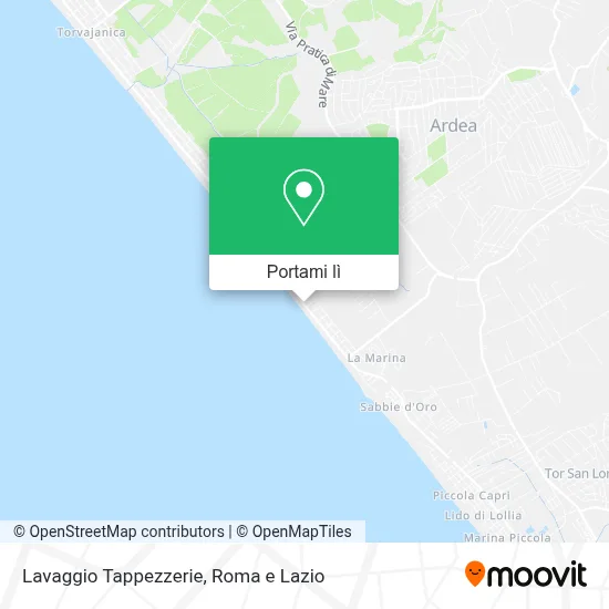 Mappa Lavaggio Tappezzerie