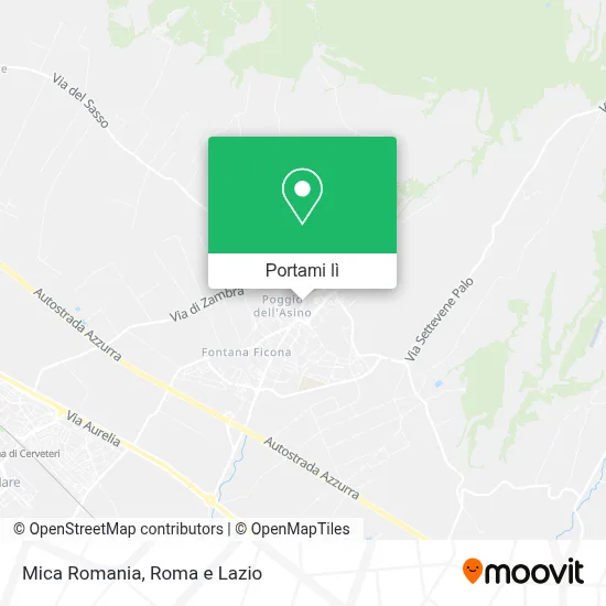 Mappa Mica Romania