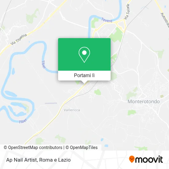 Mappa Ap Nail Artist