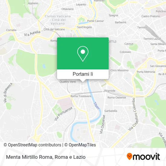 Mappa Menta Mirtillo Roma