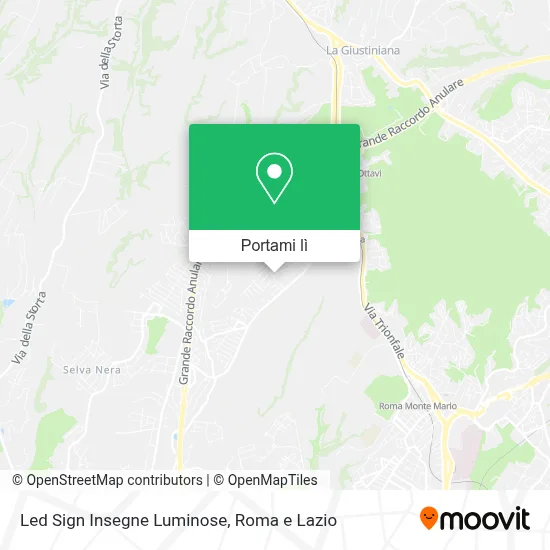 Mappa Led Sign Insegne Luminose