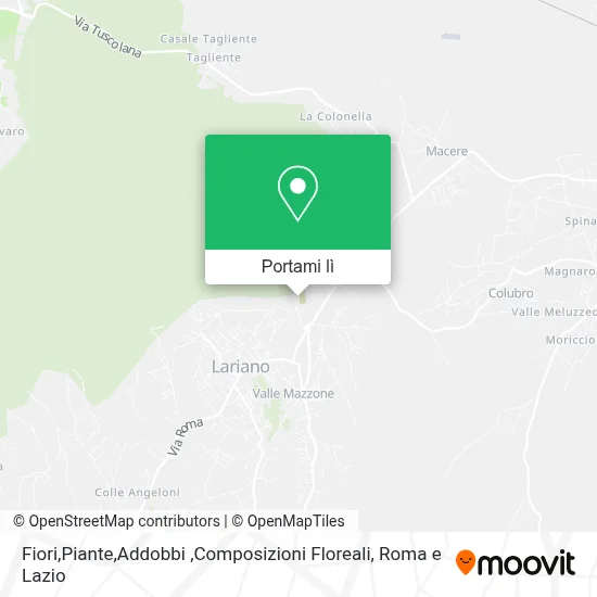 Mappa Fiori,Piante,Addobbi ,Composizioni Floreali