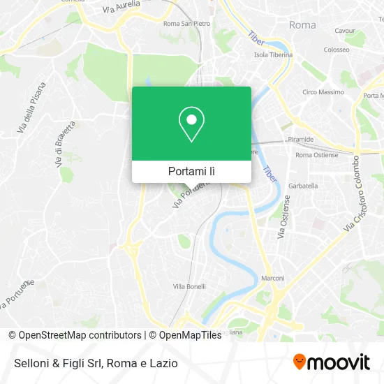 Mappa Selloni & Figli Srl