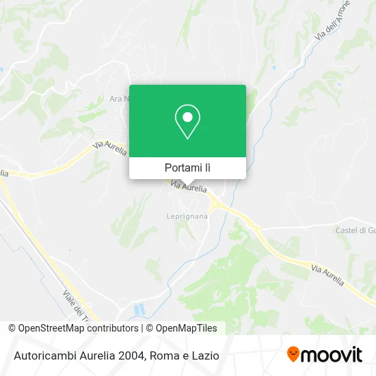 Mappa Autoricambi Aurelia 2004