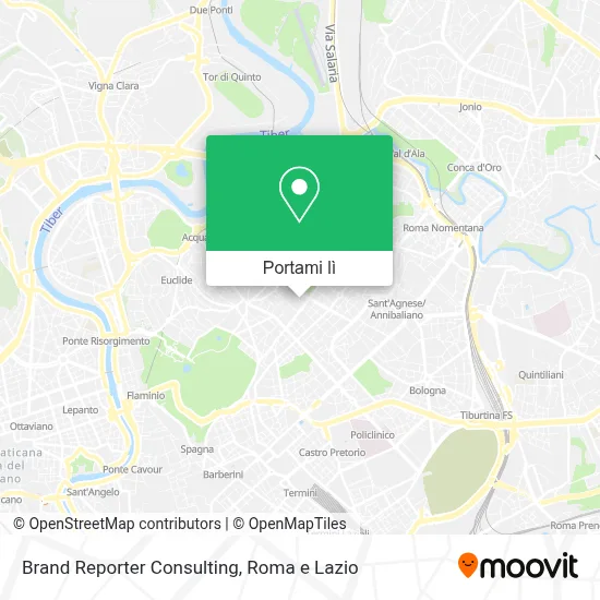 Mappa Brand Reporter Consulting