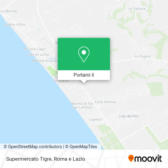 Mappa Supermercato Tigre