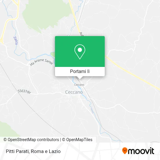 Mappa Pitti Parati