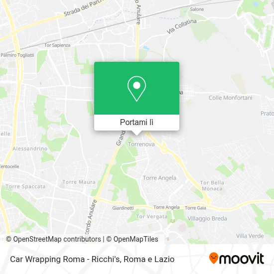 Mappa Car Wrapping Roma - Ricchi's