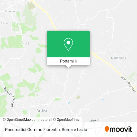 Mappa Pneumatici Gomme Fiorentin