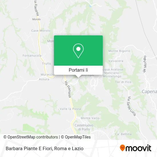 Mappa Barbara Piante E Fiori