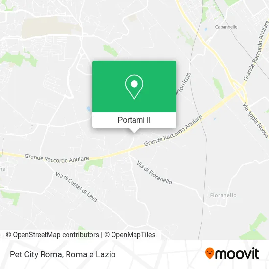 Mappa Pet City Roma