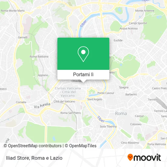 Mappa Iliad Store